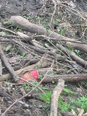 Trash in creek raises flooding, safety concerns