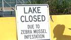 City eyeing two options to treat Lake Cunningham